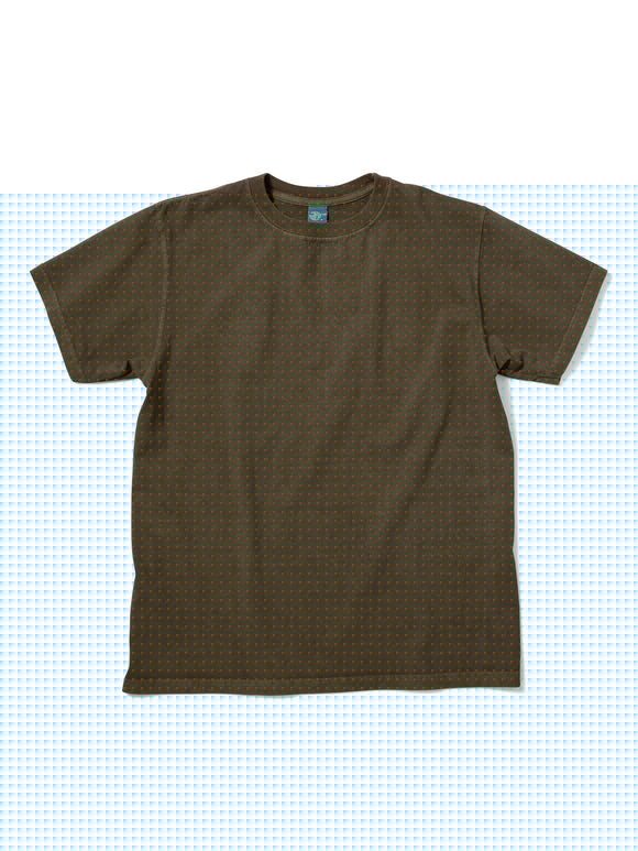 TEE SHIRT S/S CREW P-BROWN / GOOD ON