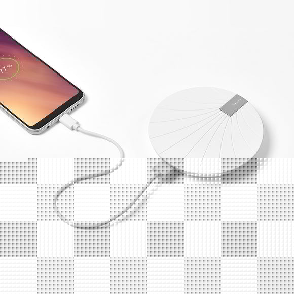 STATION DE RECHARGE LEXON INDUCTION 2021 2022